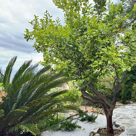 Villa Cielo Costarainera Экстерьер фото