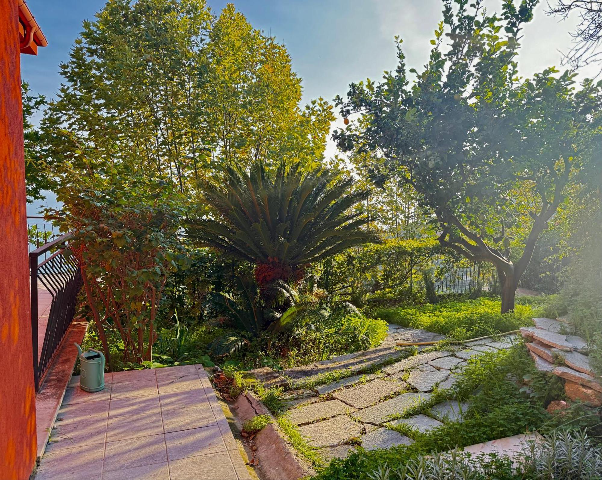 Villa Cielo Costarainera Экстерьер фото