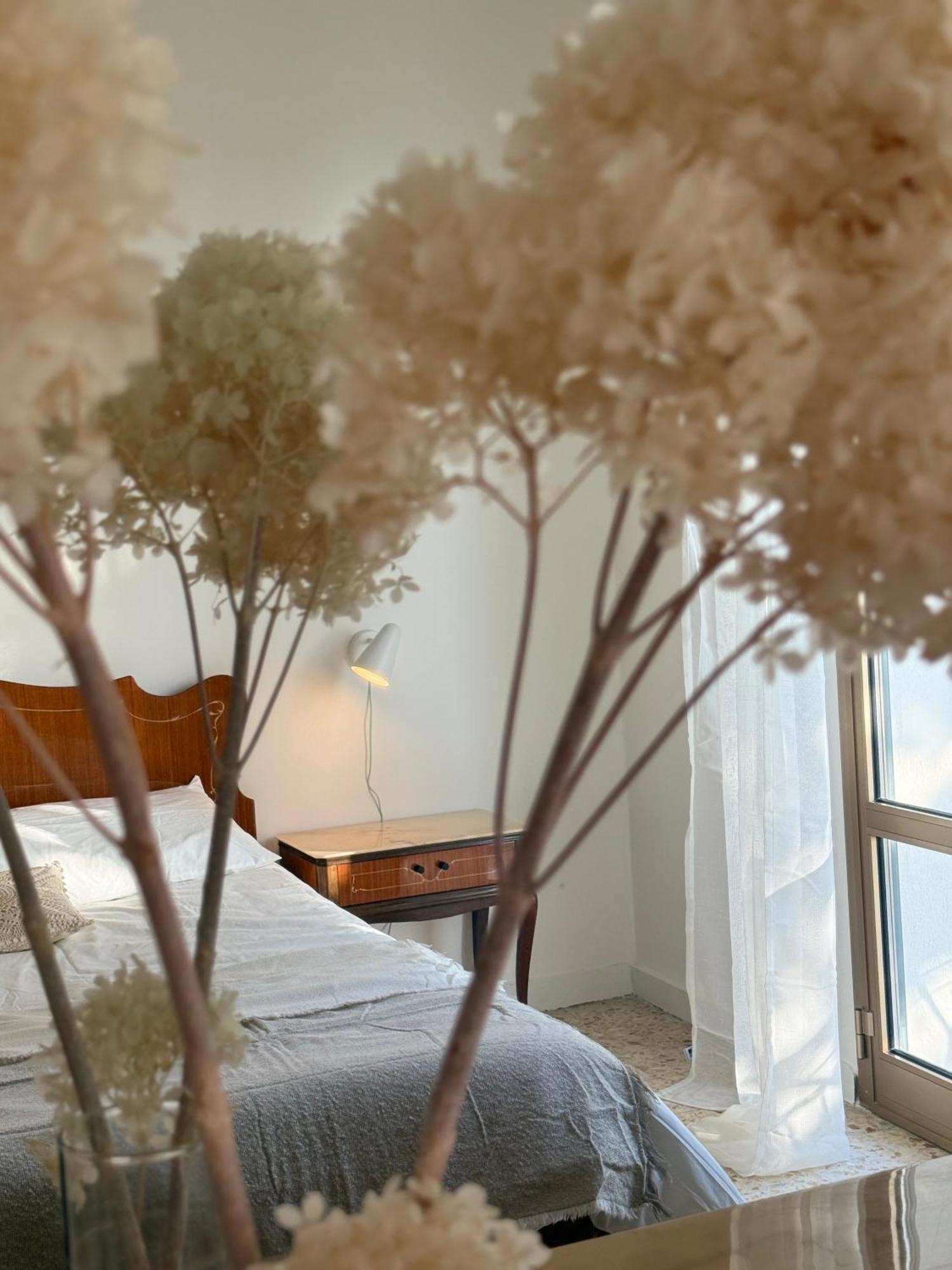 Villa Cielo Costarainera Экстерьер фото